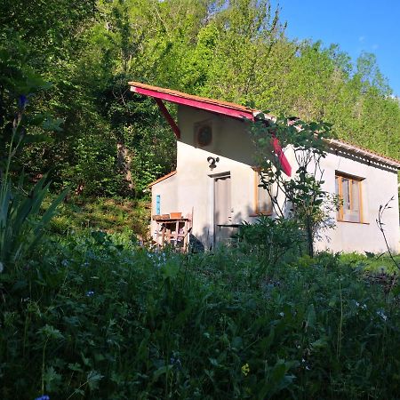 Font-Fresca Location Villa Baillestavy Eksteriør bilde